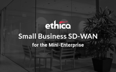 Small Business SD-WAN and the Mini-Enterprise